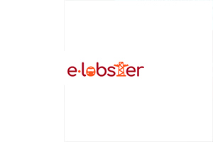 E-Lobster, a research project to reduce energy losses in urban networks